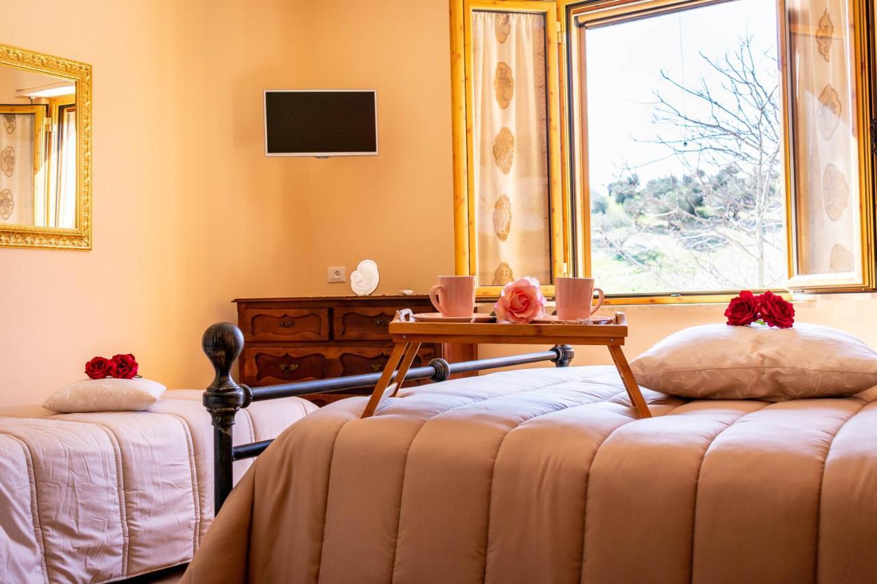 La Casa Del Nonno Bed & Breakfast Spoltore Eksteriør bilde